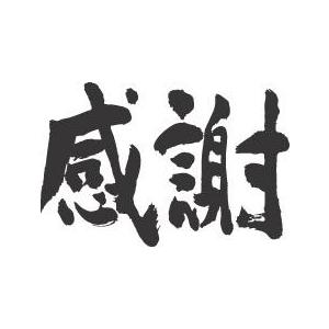 感謝 横書 書道家が書くかっこいい漢字tシャツ T Kanji Kansha Yoko T Time せとうち広告 通販 Yahoo ショッピング