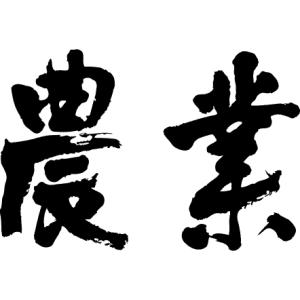 漢字tシャツ かっこいいの商品一覧 通販 Yahoo ショッピング