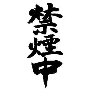 禁煙中(縦書)”書道家が書くかっこいい漢字Tシャツ- : T-time せとうち