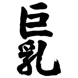 巨乳 縦書 書道家が書くかっこいい漢字トレーナー Tl Kanji Kyonyu Tate T Time せとうち広告 通販 Yahoo ショッピング