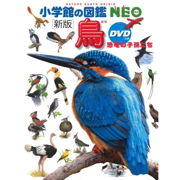 小学館の図鑑NEO［新版］鳥 恐竜の子孫たち　DVD付