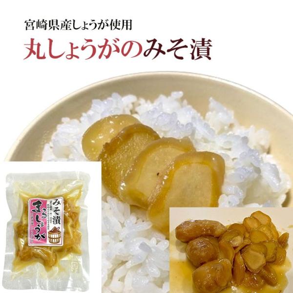 生姜の味噌漬け 国産 生姜 味噌漬け 100g×3袋 しょうがのみそ漬け 味噌漬 みそ漬まるしょうが...