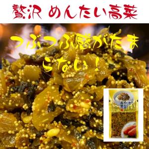 九州産高菜使用 贅沢明太高菜 100g×2袋 辛子高菜 から...