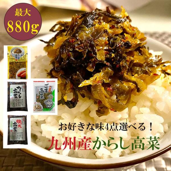 辛子高菜 選べる4袋(辛子/明太/贅沢明太/ごま高菜) 最大880g(220g×4袋) からし高菜 ...