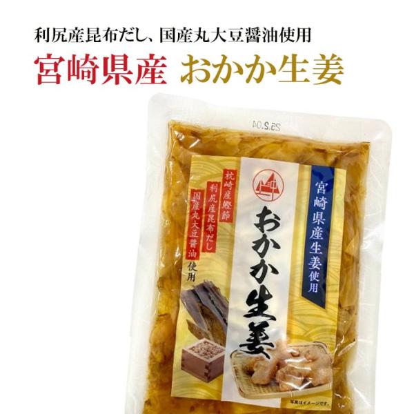 おかか生姜 宮崎県産 国産 120g×3袋 生姜 ガリ 上沖産業 ご飯のお供 ポイント消化 送料無料