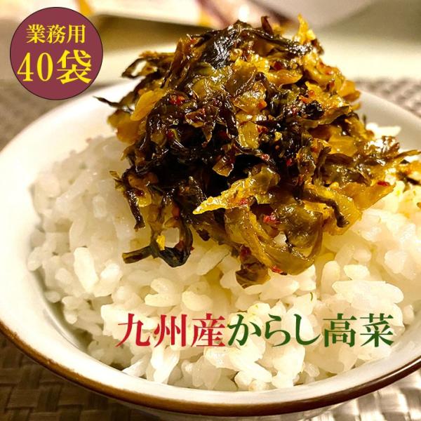 辛子高菜 九州産高菜使用 からし高菜(210g×40入) 漬物 福岡 博多 国産 まとめ買い用 大容...