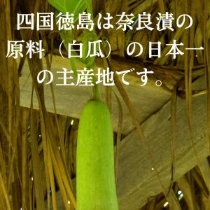 国産 奈良漬 老舗 無添加 奈良漬け 大サイズ...の詳細画像1