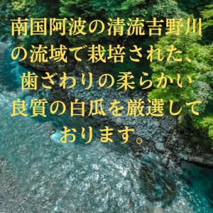 国産 奈良漬 老舗 無添加 奈良漬け 大サイズ...の詳細画像2