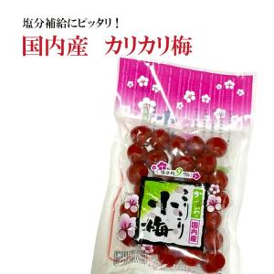 カリカリ梅 こりこり小梅 120g×3袋 塩分約9％ 国産 塩分補給 熱中症 送料無料