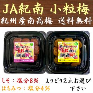 紀州南高梅 小粒サイズ 選べる2点 (しそ/はちみつ) JA紀南 梅干し 送料無料｜九州漬物専門店 漬匠よこ尾ヤフー店