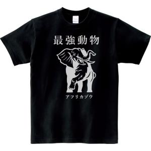TERROR WORLDWIDE・テラーワールドワイド・KILL YOUR IDOLS・Tシャツ