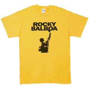 ザ モダン ラヴァーズ The Modern Lovers バンド ロック Tシャツ