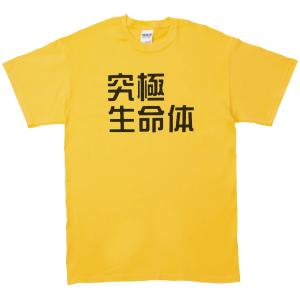 デザイン Tシャツ 琵琶湖 イエロー : Tシャツ専門店 T1500 - 通販