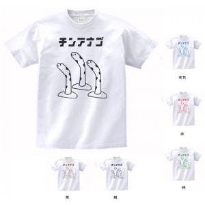 チンアナゴの通販 価格比較 Tira