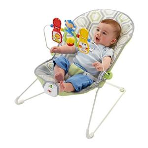 fisher price bouncer safety
