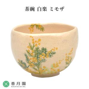 茶道具 / 茶碗　 白楽 ミモザ 吉村楽入 作 (桐箱)  抹茶茶碗 抹茶碗 日本製 国産 食器 器 贈答 ギフト プレゼント お祝い｜t4u