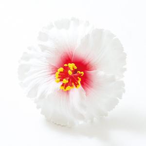 ハイビスカスヘアピックMの詳細画像2