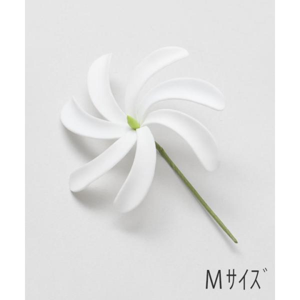 ティアレピック　Ｍ