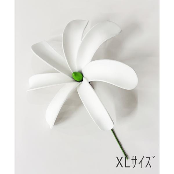 ティアレピック　ＸＬ