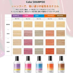ホーユー ソマルカ カラーシャンプー 選べるカ...の詳細画像1