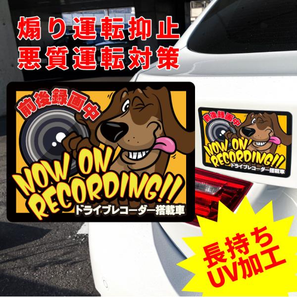 ドライブレコーダー ステッカー マグネット 犬 ダックスフンド かわいい おしゃれ カッコイイ アメ...