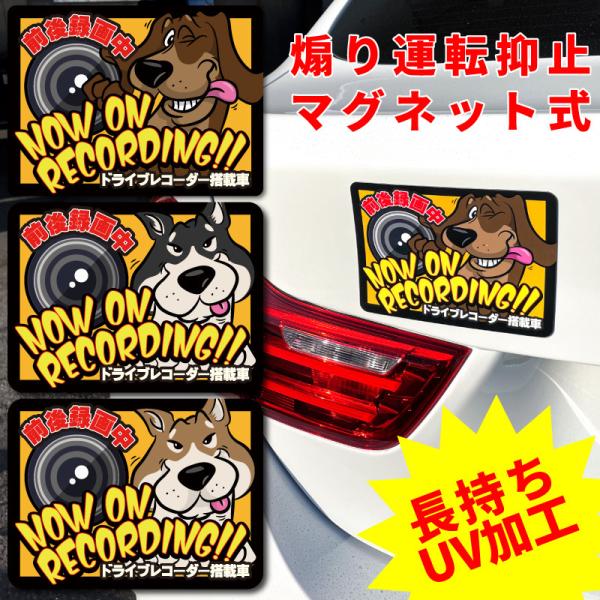 ドライブレコーダー ステッカー マグネット 犬 ダックスフンド 柴犬 かわいい カッコイイ アメリカ...