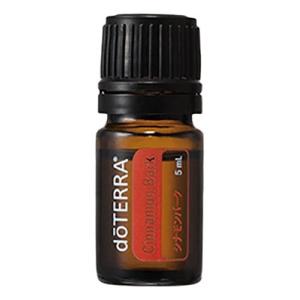 シナモンバーク/シングルオイル