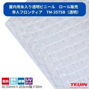 TEIJIN（テイジン） 屋外用 糸入り透明ビニール 高耐候 黄変防止