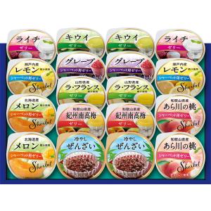 売り尽くし デザートギフト 丸大食品 ( SA-38 ) メーカー直送 送料無料 | メーカー在庫 賞味期限：2027年1月2日 スイーツ プリン ゼリー フィナンシェ
