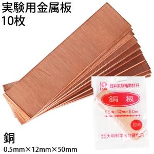 金属板 10枚入 鉄板 5070101 (t01) 大和科学教材研究所 実験用 科学