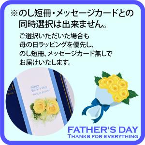 父の日ギフト AGF マキシムちょっと贅沢な珈...の詳細画像2