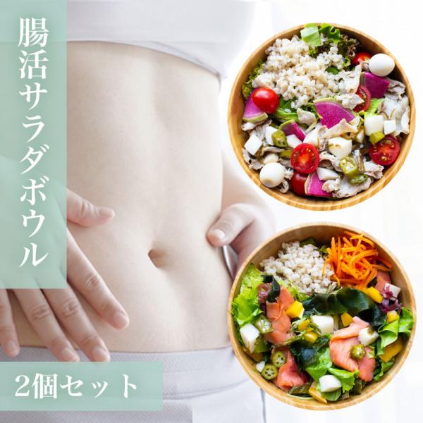 ダイエット腸活サラダ2種類 ギフトB 国産もち麦と野菜たっぷり 海藻スモークサーモン 豚しゃぶ 便秘...