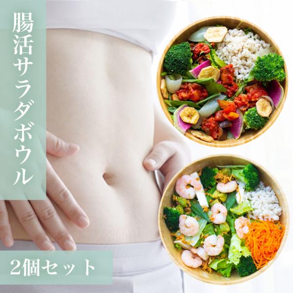 ダイエット腸活サラダ2種類 ギフトC 国産もち麦と野菜たっぷり 海鮮エビアボカド トマトラタトゥイユ...