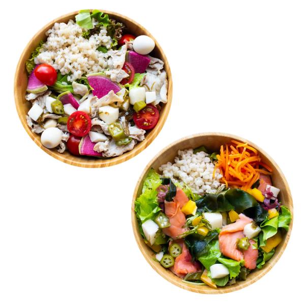 水溶性食物繊維サラダ2種類 ギフトA 国産もち麦と野菜たっぷり 海藻 サーモン 豚しゃぶ 便秘 ダイ...