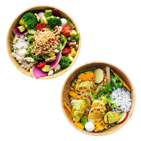 不溶性食物繊維サラダ2種類 ギフトA 国産もち麦と野菜たっぷり チキンガパオ ささみ肉 アボカド 便...