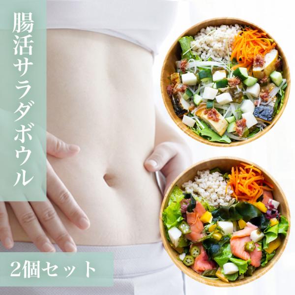 腸内柔らか海藻サラダ2種類 ギフト 国産もち麦と野菜たっぷり 塩サバ スモークサーモン 便秘 ダイエ...