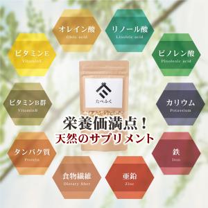 松の実 生 100g 無塩 無添加 残留農薬検...の詳細画像1