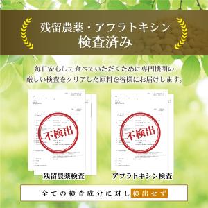 松の実 生 100g 無塩 無添加 残留農薬検...の詳細画像2