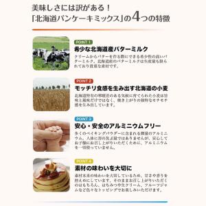 ノースファームストック 北海道パンケーキミック...の詳細画像2
