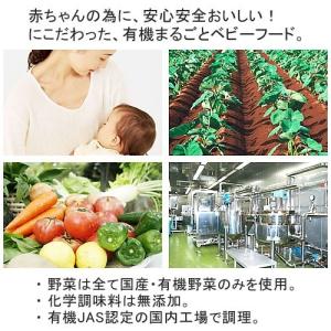 ofukuro 有機まるごとベビーフード100...の詳細画像2