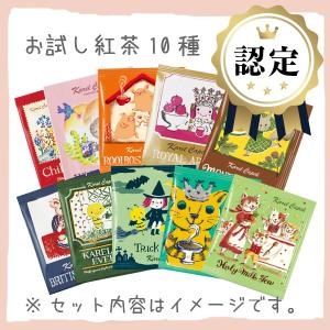 紅茶 カレルチャペック お試し10種のティーバッグ（中身は届いてからのお楽しみ）送料無料