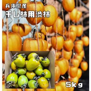 干し柿用渋柿 5Kg 食べチョク 兵庫県産 未選別 徳用 傷あり 兵庫産 吊るし柿用 干柿用 渋柿 訳あり 果物 干し柿 生柿