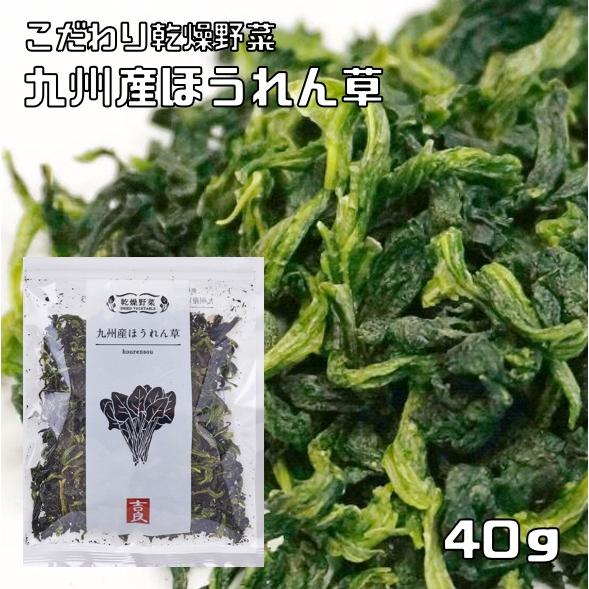 ほうれん草 40g 九州産 乾燥野菜 吉良食品 ほうれんそう ドライ法蓮草 干し野菜 国産 国内産 ...