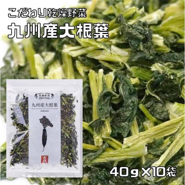 大根葉 40g×10袋 九州産 吉良食品 だいこん葉 ドライ大根葉 干し野菜 国産 国内産 乾物 便...