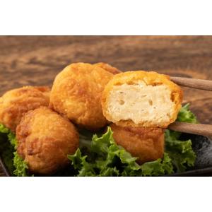 大豆ミート ブロックタイプ 1kg まめやのお...の詳細画像2
