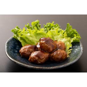 大豆ミート ブロックタイプ 1kg まめやのお...の詳細画像3