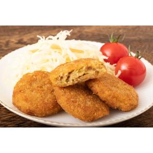 大豆ミート フィレタイプ 1kg まめやのお肉...の詳細画像2