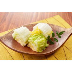 あさ漬の素 80g 奈良つけもん屋 つけもと ...の詳細画像1