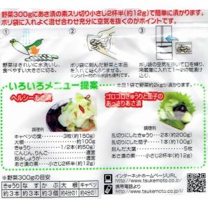 あさ漬の素 80g 奈良つけもん屋 つけもと ...の詳細画像3