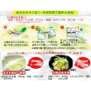 ゆず漬の素 60g 奈良つけもん屋 つけもと ...の詳細画像3